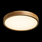 Потолочная люстра De Markt Норден 660015501