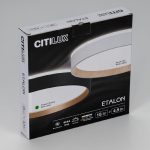 Настенно-потолочный светильник Citilux Etalon CL750241