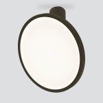 Накладной светильник Elektrostandard DLS029 12W 4200K черный матовый