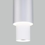 Подвесной светильник Eurosvet Bento 50204/1 LED белый/матовое серебро