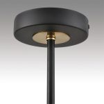 Люстра на штанге Lumion Comfi Vivana 8153/6C