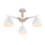 Люстра на штанге Lumion Colange 8095/3C