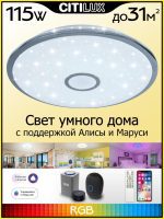Накладной светильник Citilux CL703A100G