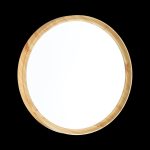 Настенно-потолочный светильник Sonex Woodi 3019/DL