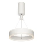 Подвесной светильник Citilux Дуэт CL719010