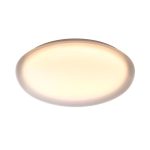 Настенно-потолочный светильник Sonex Pale Jolly 7776/DLN