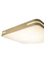 Потолочный светильник Zortes Gabby ZRS.1215.04