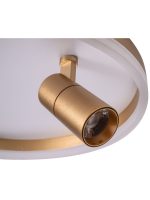Потолочный светильник Zortes Raizy ZRS.1888.04