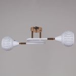 Потолочный светильник Reluce 70059-3.3-02 FG+WH