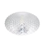 Настенно-потолочный светильник Elvan NLS-509R/1-E27-Cl