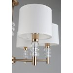 Подвесная люстра APLOYT Franula APL.724.03.06