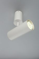 Настенно-потолочный светильник Aployt Berenis APL.007.02.01