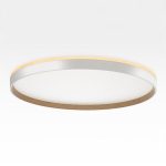 Накладной светильник Citilux Etalon CL750500R