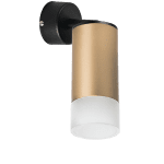 Встраиваемый спот Lightstar Rullo RB44031 (214440+590007+202431)