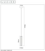 Подвесной светильник Lucide LIONEL 73406/01/30