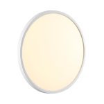 Настенно-потолочный светильник Sonex Alfa white 7659/32L