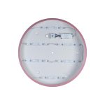 Потолочный светильник Loft IT AXEL 10002/24 Pink