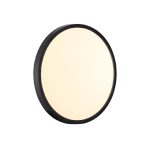 Настенно-потолочный светильник Sonex Alfa black 7660/24L