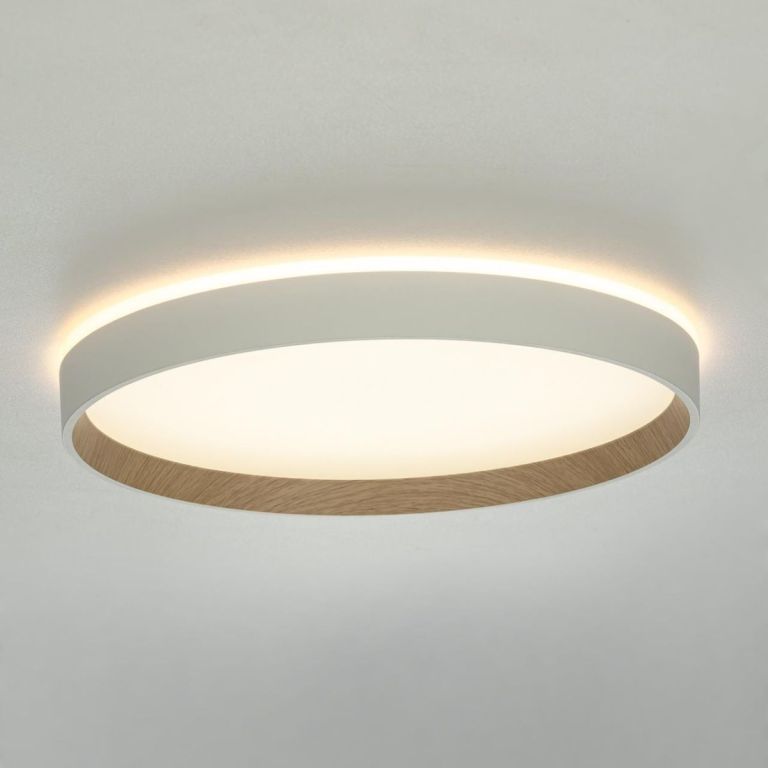 Накладной светильник Citilux Etalon CL750320R