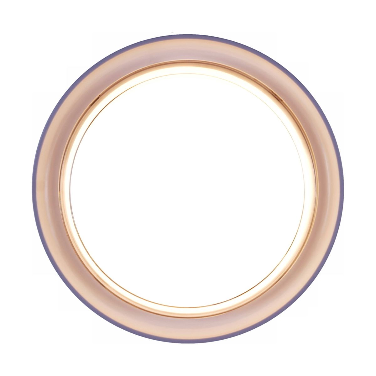 Настенно-потолочный светильник Reluce 81151-9.5-001QL WH