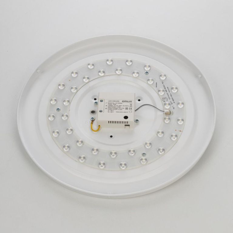 Накладной светильник Citilux Bart CL755391