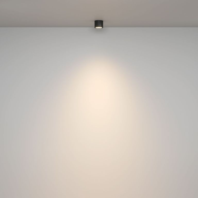 Накладной светильник Maytoni Rendo C095CL-GX53-B