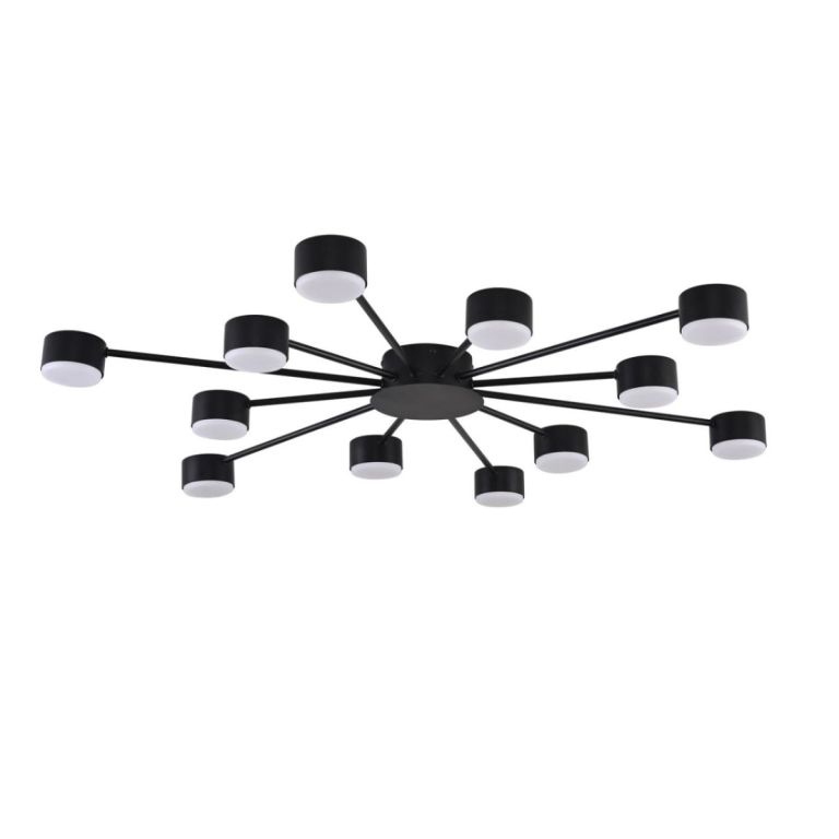 Потолочная люстра Lumion Comfi Torina 8344/12C