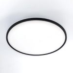 Потолочный светильник Citilux Norma CL748501