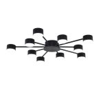 Потолочная люстра Lumion Comfi Torina 8344/10C