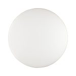 Настенно-потолочный светильник Sonex Lassa 3043/DL