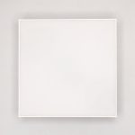 Накладной светодиодный светильник Citilux Тао CL712X120N