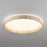 Потолочный светильник Citilux Enzo CL753452G