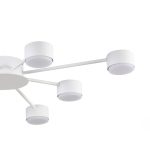 Потолочная люстра Lumion Comfi Torina 8343/8C