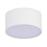 Накладной светильник ST Luce ST606.532.12