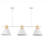 Подвесной светильник Evoluce Modica SLE125103-03