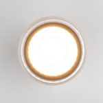 Уличный потолочный светильник Elektrostandard Light LED 4690389177965