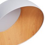 Потолочный светильник Zortes Baum ZRS.01201.19