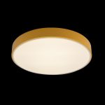 Потолочный светильник Loft IT AXEL 10002/24 Yellow