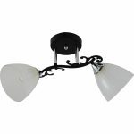 Люстра на штанге Reluce 11308-0.3-02 BK+CR