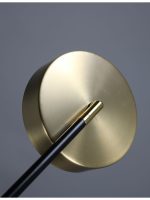 Люстра на штанге Zortes Lunar ZRS.01243.06