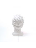 Настольная лампа DeLight Collection Seletti Grace 14819