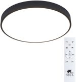 Потолочный светодиодный светильник Arte Lamp Arena A2672PL-1BK