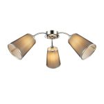 Потолочная люстра EVOLUCE MALEONTE SLE103002-03