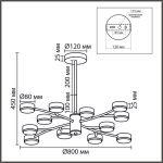 Люстра на штанге Lumion Comfi Torina 8265/12