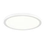 Потолочный светильник Sonex Nebula 7754/24L