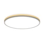 Потолочный светильник Citilux Norma CL748500