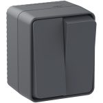 Выключатель 2-клавишный Systeme Electric AtlasDesign Profi54 Наруж Антрацит ATN544051