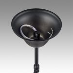 Подвесная люстра Lumion Nana 8106/6