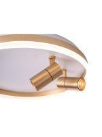 Потолочный светильник Zortes Raizy ZRS.1888.02