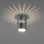 Накладной светильник Elektrostandard DLS025 4690389169786